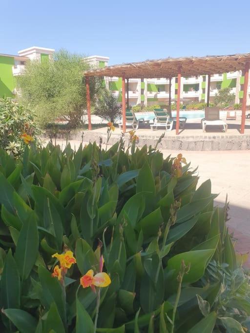 Holiday Properties Moradias Green Santa Maria Εξωτερικό φωτογραφία