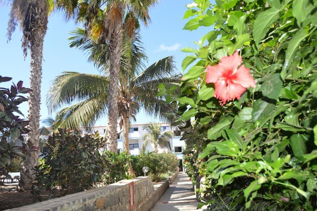 Holiday Properties Moradias Green Santa Maria Εξωτερικό φωτογραφία